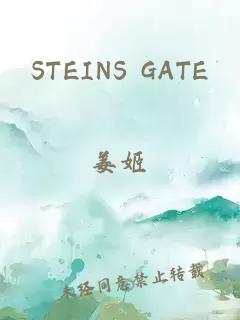 STEINS GATE
