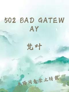 502 BAD GATEWAY