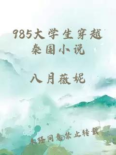 985大学生穿越秦国小说
